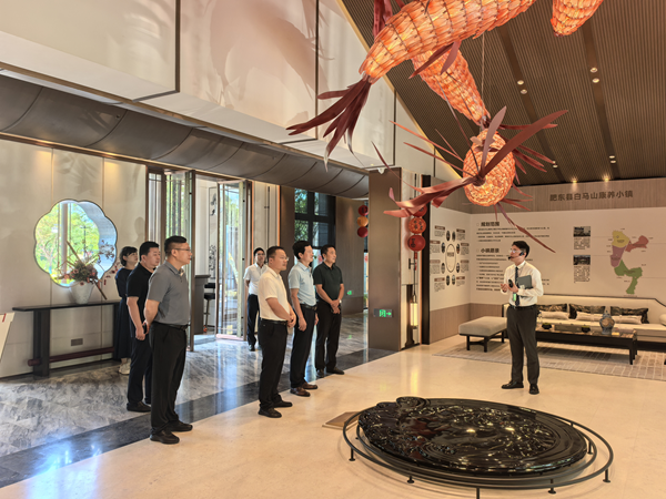 壽縣縣委常委、副縣長房鯤鵬一行到訪省健康養老公司